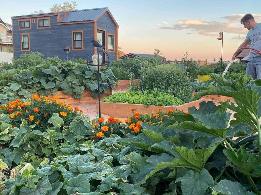 Atlantis Garden Tiny Home Hildale Eksteriør bilde