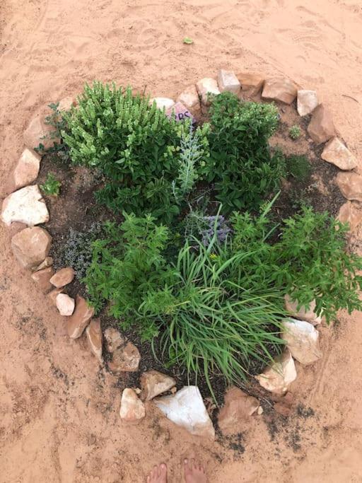 Atlantis Garden Tiny Home Hildale Eksteriør bilde
